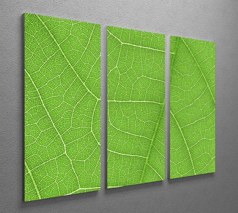 Leaf texture 3 Split Panel Canvas Print - Canvas Art Rocks - 2