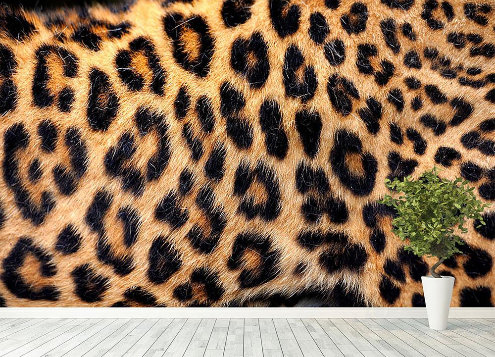 leopard skin wallpaper