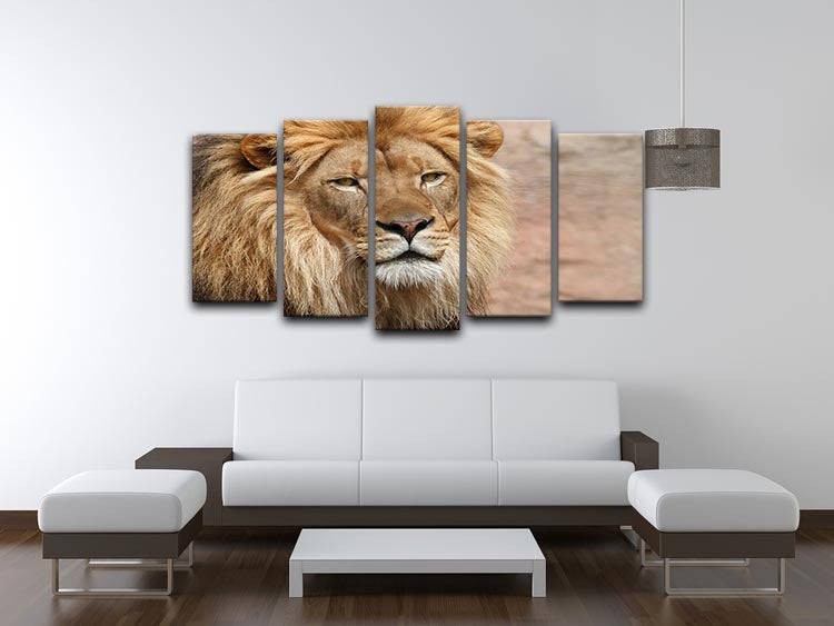 Lion 5 Split Panel Canvas - Canvas Art Rocks - 3