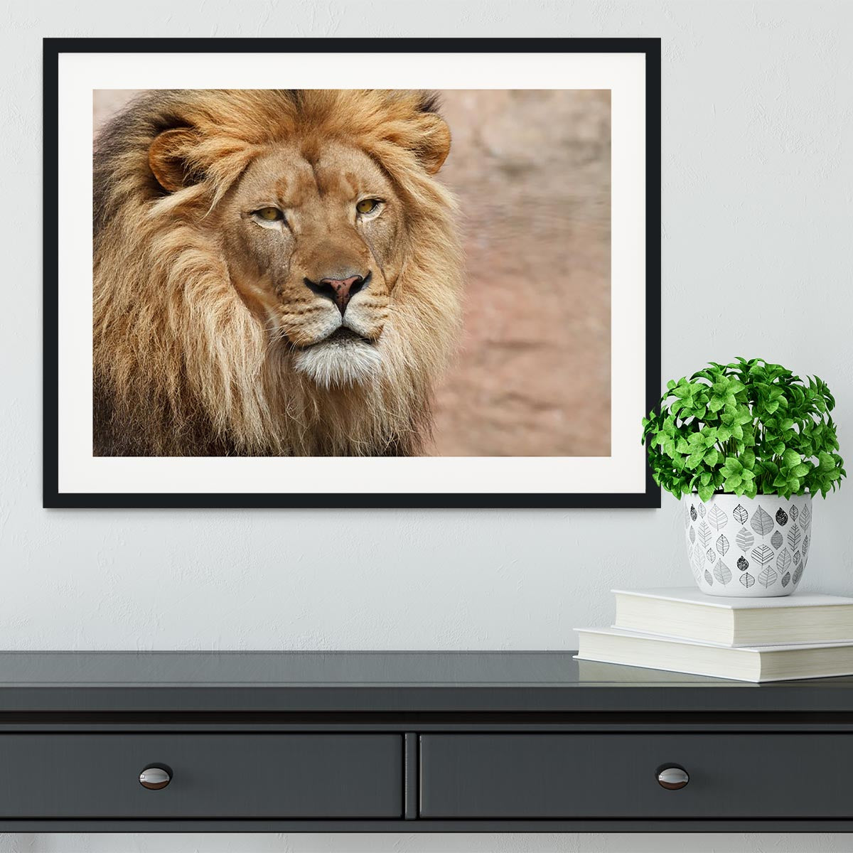 Lion Framed Print - Canvas Art Rocks - 1