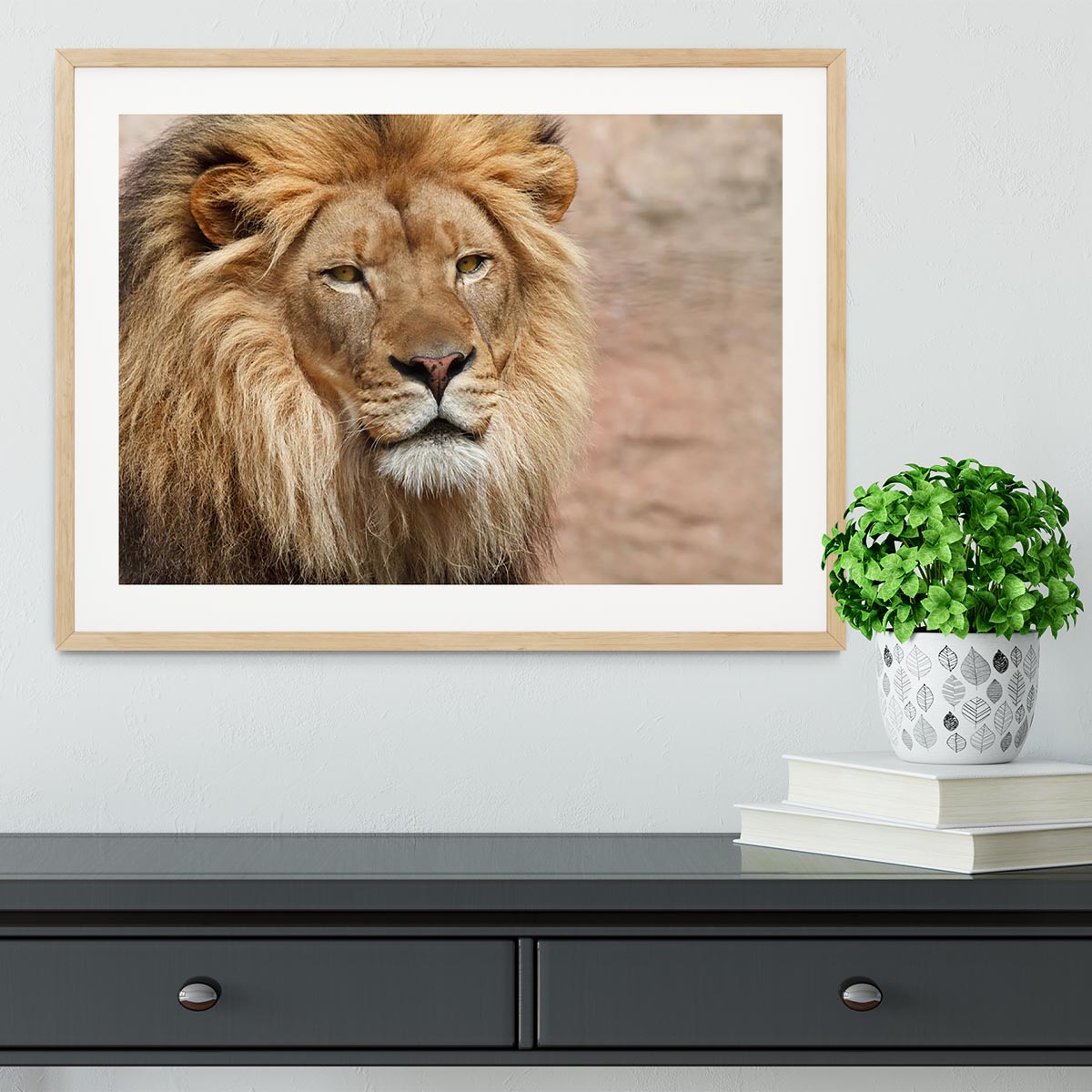 Lion Framed Print - Canvas Art Rocks - 3