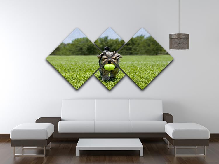 Little puppy running with a ball 4 Square Multi Panel Canvas - Canvas Art Rocks - 3