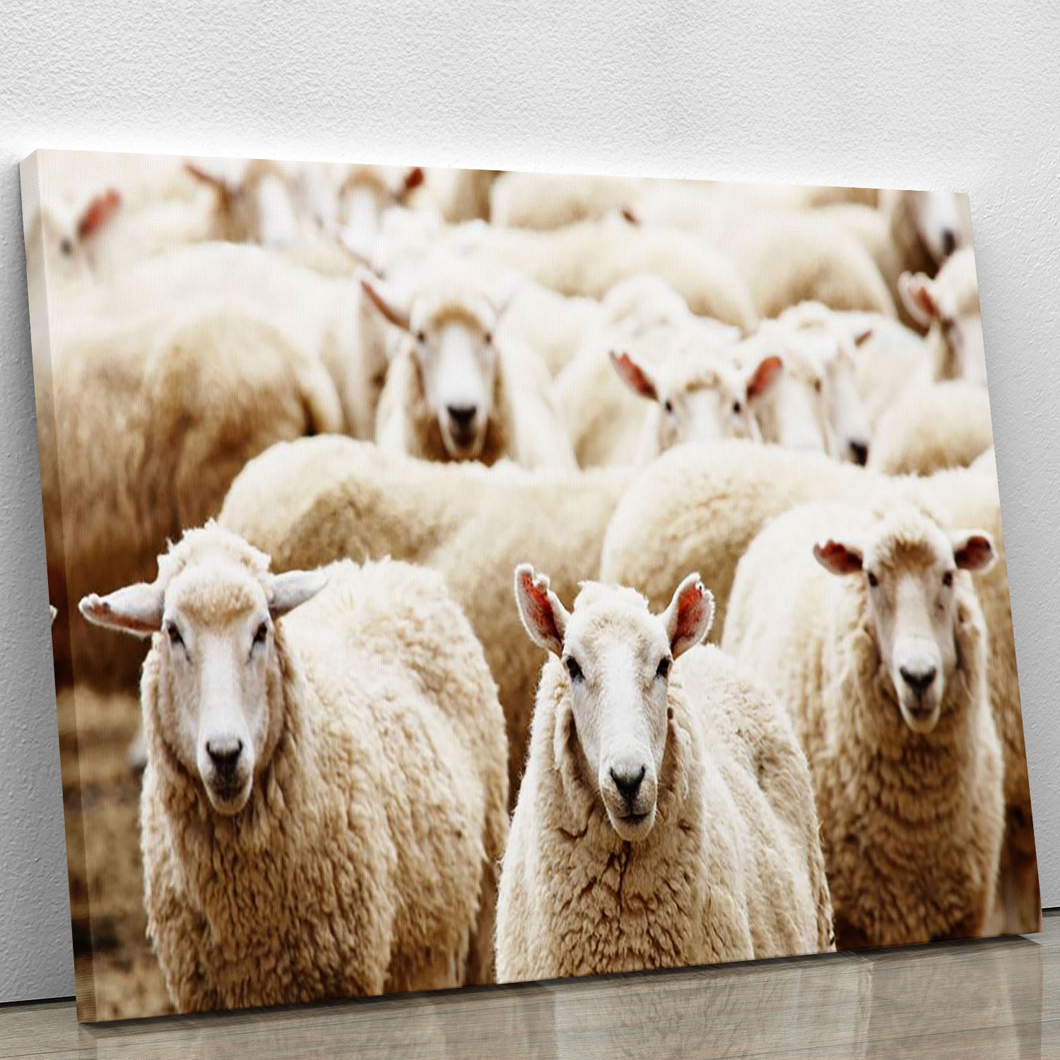Livestock farm herd of sheep Canvas Print or Poster - Canvas Art Rocks - 1