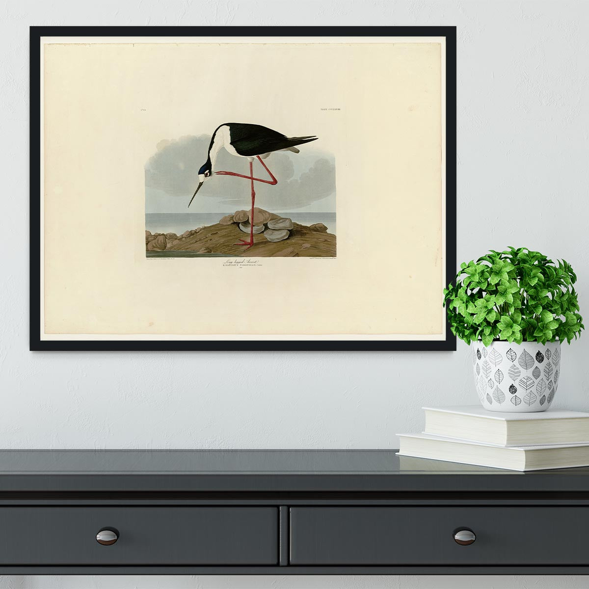 Long legged Avocet by Audubon Framed Print - Canvas Art Rocks - 2