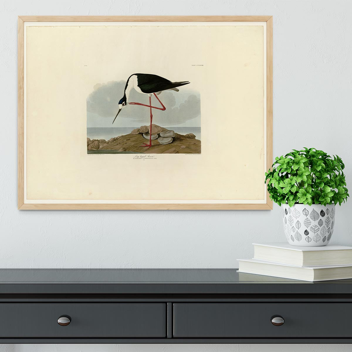 Long legged Avocet by Audubon Framed Print - Canvas Art Rocks - 4