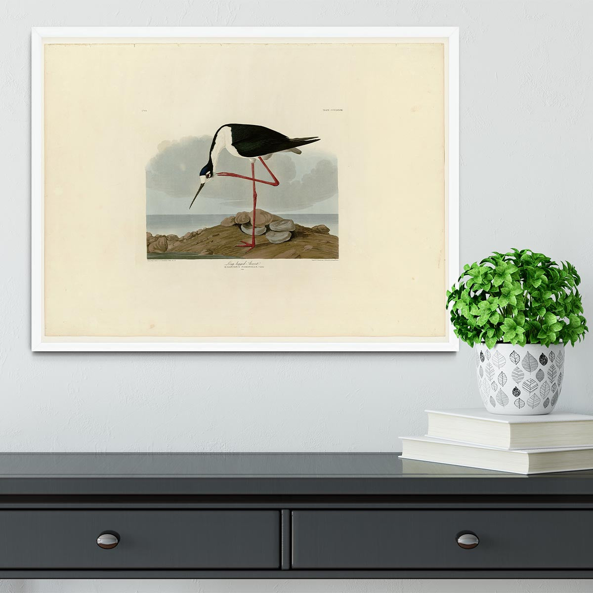 Long legged Avocet by Audubon Framed Print - Canvas Art Rocks -6