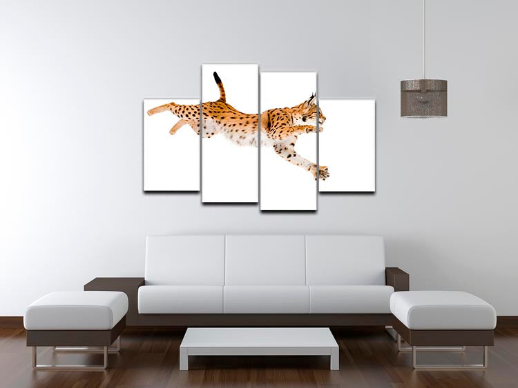 Lynx in front of a white background 4 Split Panel Canvas - Canvas Art Rocks - 3