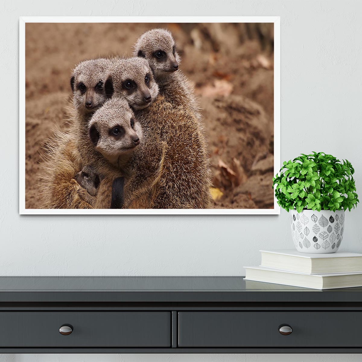 Meerkat family Framed Print - Canvas Art Rocks -6