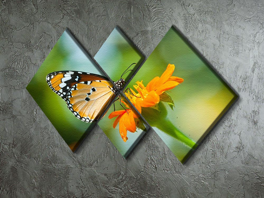 Orange butterfly on flower Thailand. 4 Square Multi Panel Canvas - Canvas Art Rocks - 2