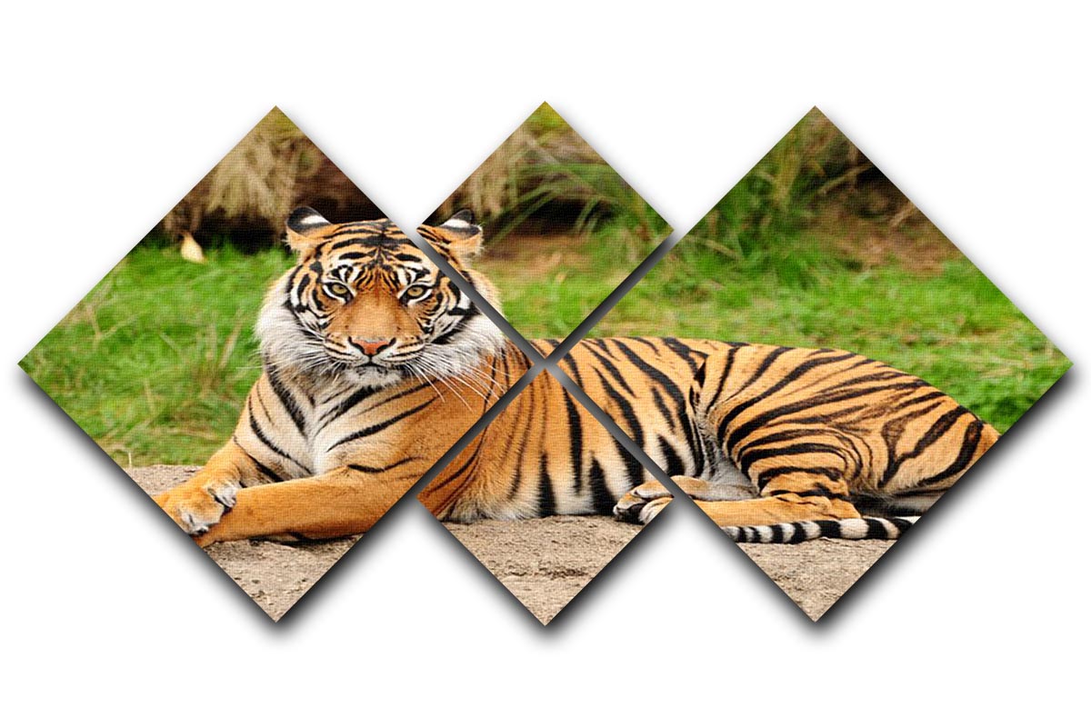 Portrait of a Royal Bengal tiger alert 4 Square Multi Panel Canvas - Canvas Art Rocks - 1
