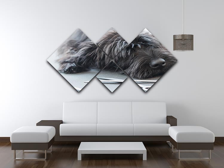 Portrait of a cute Schnauzer lying on the grooming table 4 Square Multi Panel Canvas - Canvas Art Rocks - 3