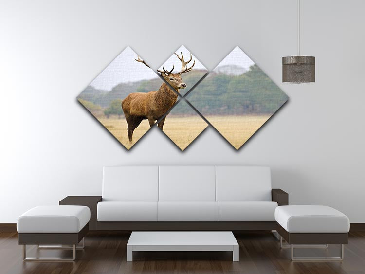 Portrait of majestic powerful adult red deer stag in Autumn Fall forest 4 Square Multi Panel Canvas - Canvas Art Rocks - 3