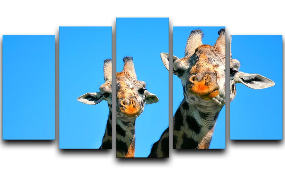 Portrait of mother and baby giraffe. Africa. Kenya 5 Split Panel Canvas - Canvas Art Rocks - 1