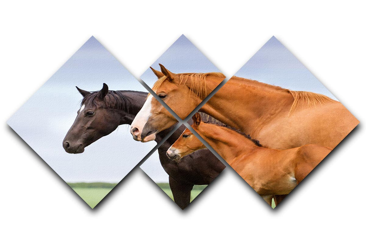 Portrait of two mares and foal at pasture 4 Square Multi Panel Canvas - Canvas Art Rocks - 1