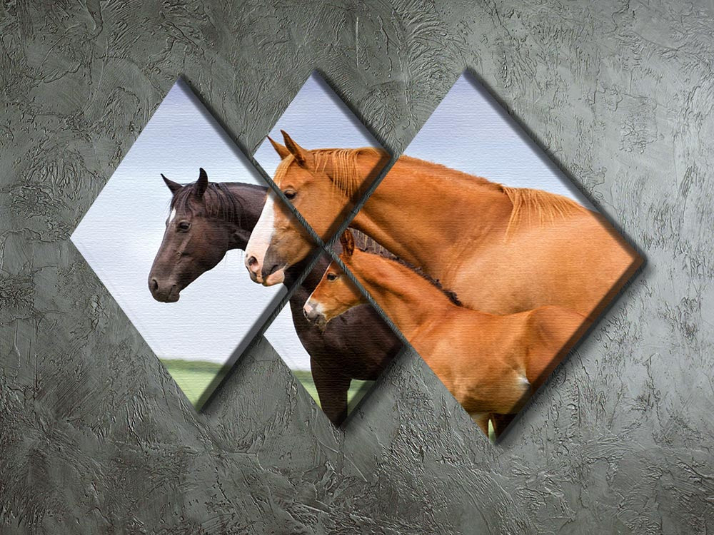 Portrait of two mares and foal at pasture 4 Square Multi Panel Canvas - Canvas Art Rocks - 2