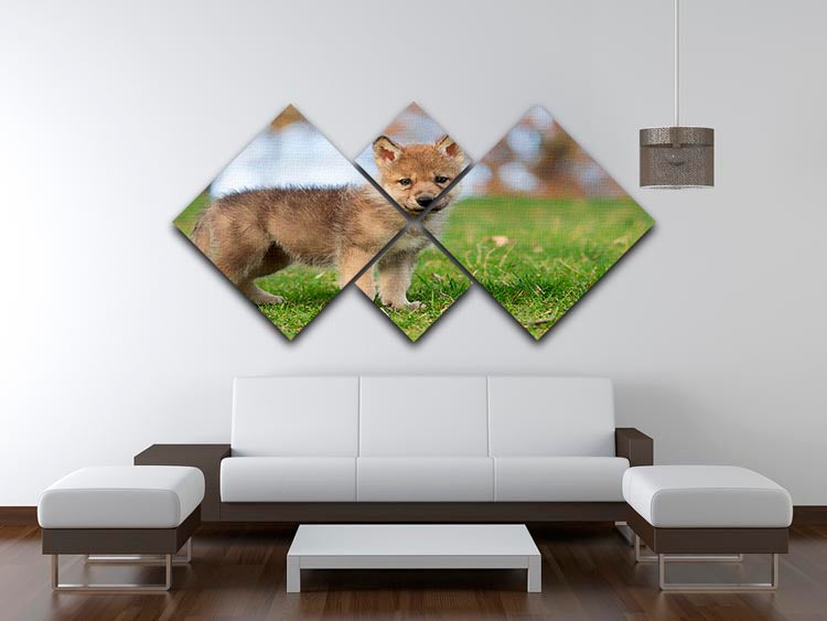 Profile image of a young gray wolf pup 4 Square Multi Panel Canvas - Canvas Art Rocks - 3