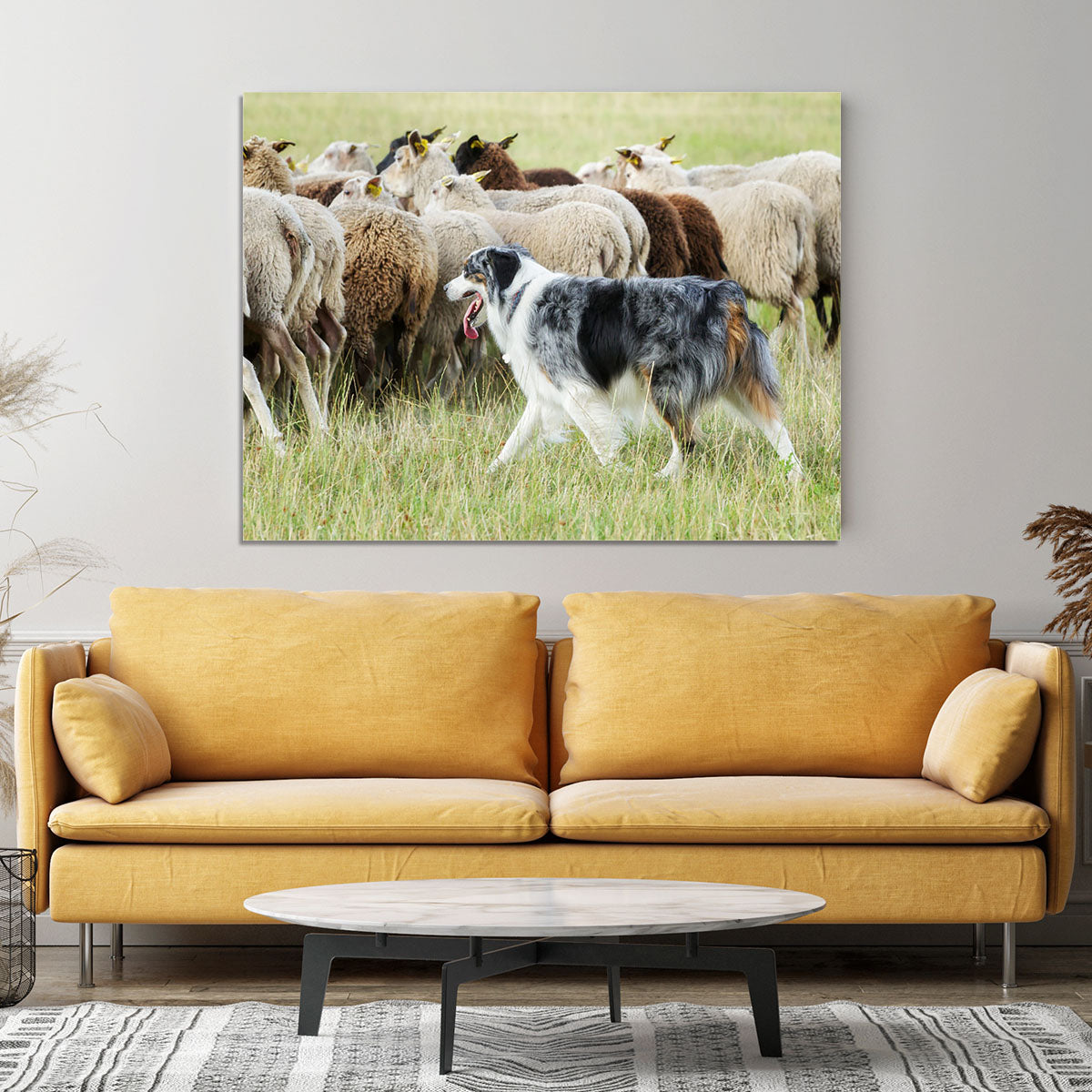 Purebred border collie herding a flock of sheep Canvas Print or Poster - Canvas Art Rocks - 4