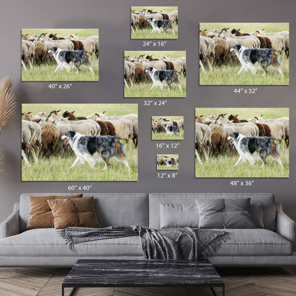 Purebred border collie herding a flock of sheep Canvas Print or Poster - Canvas Art Rocks - 7