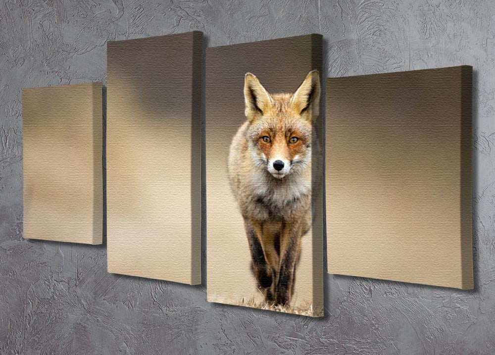 Red fox 4 Split Panel Canvas - Canvas Art Rocks - 2