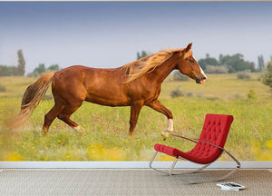 Red horse with long mane Wall Mural Wallpaper - Canvas Art Rocks - 2