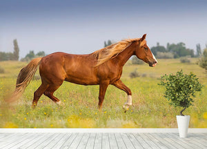 Red horse with long mane Wall Mural Wallpaper - Canvas Art Rocks - 4