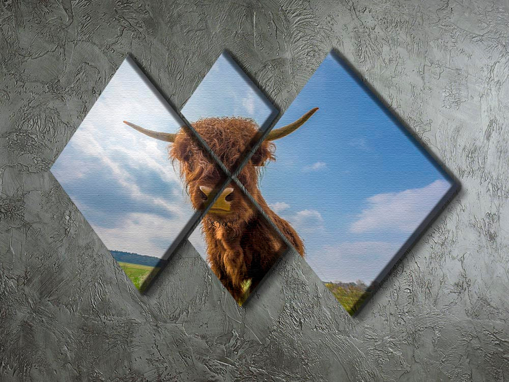 Scottish highland cattle on a pasture 4 Square Multi Panel Canvas - Canvas Art Rocks - 2