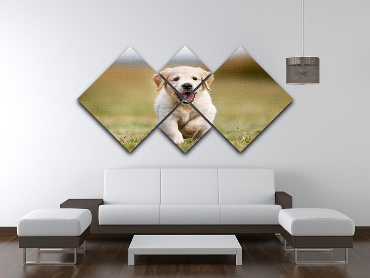 Seven week old golden retriever puppy outdoors on a sunny day 4 Square Multi Panel Canvas - Canvas Art Rocks - 3