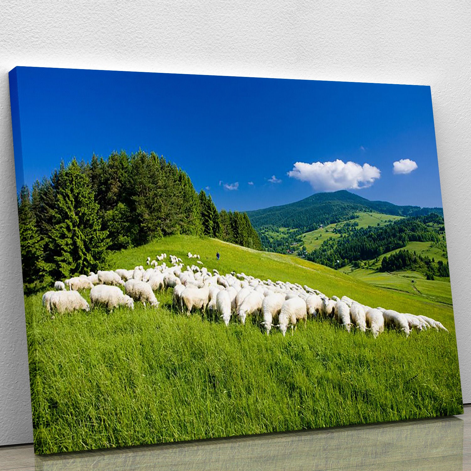 Sheep herds Canvas Print or Poster - Canvas Art Rocks - 1