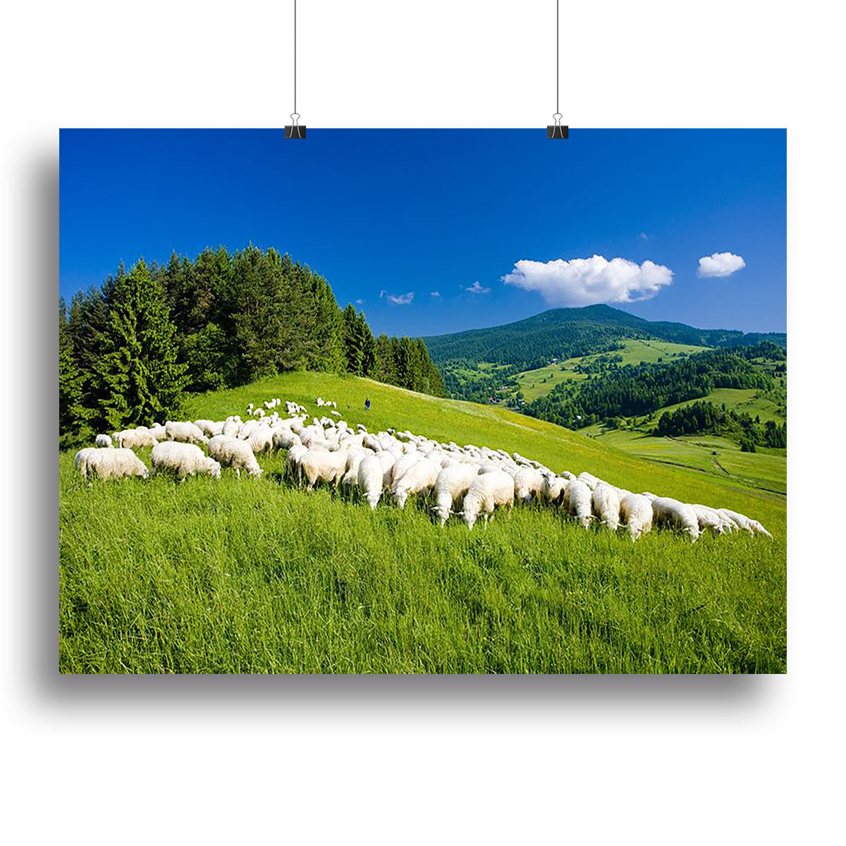 Sheep herds Canvas Print or Poster - Canvas Art Rocks - 2
