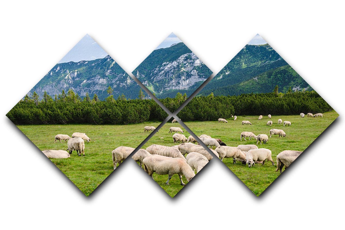 Sheep herds at alpine pastures 4 Square Multi Panel Canvas - Canvas Art Rocks - 1