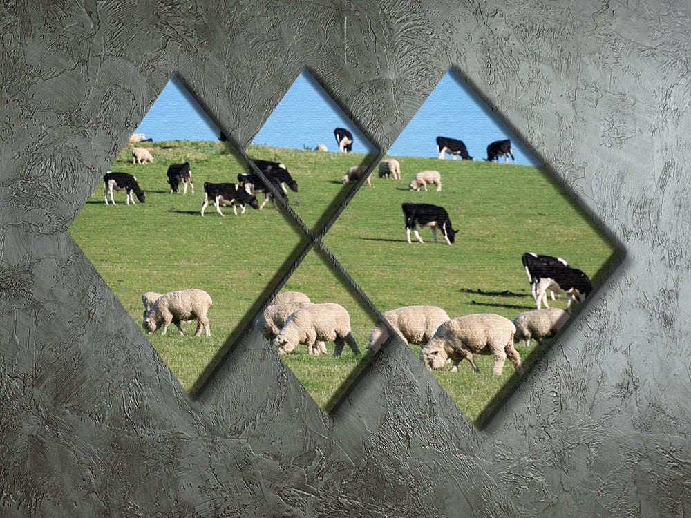 Sheeps in green rural meadow with cows 4 Square Multi Panel Canvas - Canvas Art Rocks - 2