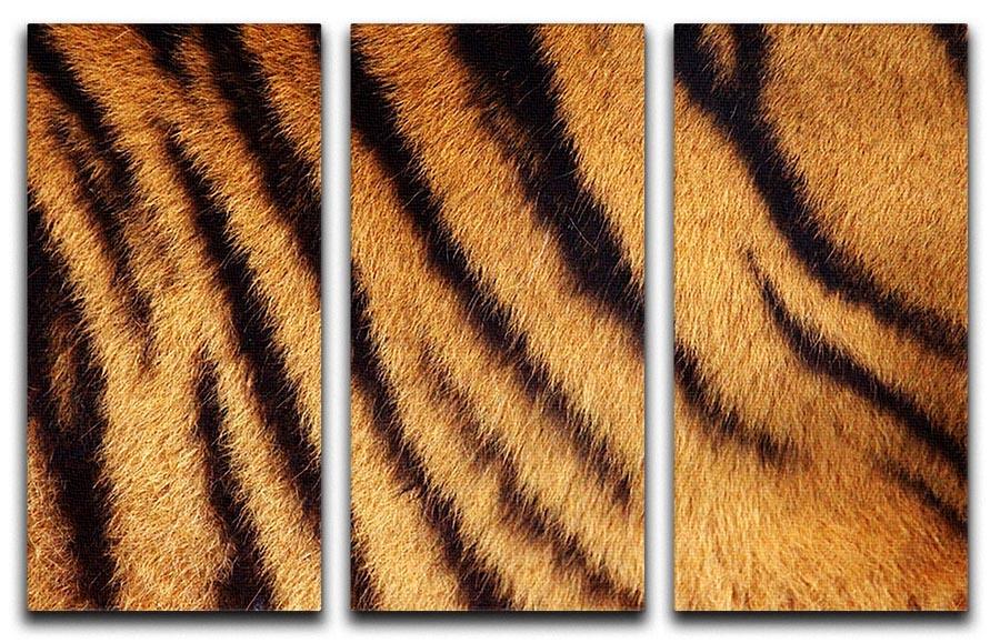 Siberian or Amur tiger stripped fur 3 Split Panel Canvas Print - Canvas Art Rocks - 1