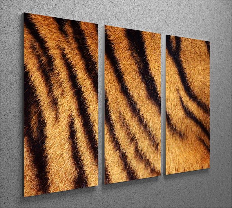Siberian or Amur tiger stripped fur 3 Split Panel Canvas Print - Canvas Art Rocks - 2
