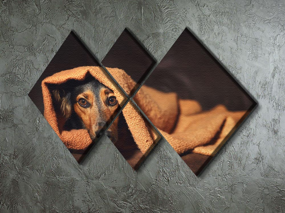 Small black and brown dog hiding under orange blanket 4 Square Multi Panel Canvas - Canvas Art Rocks - 2