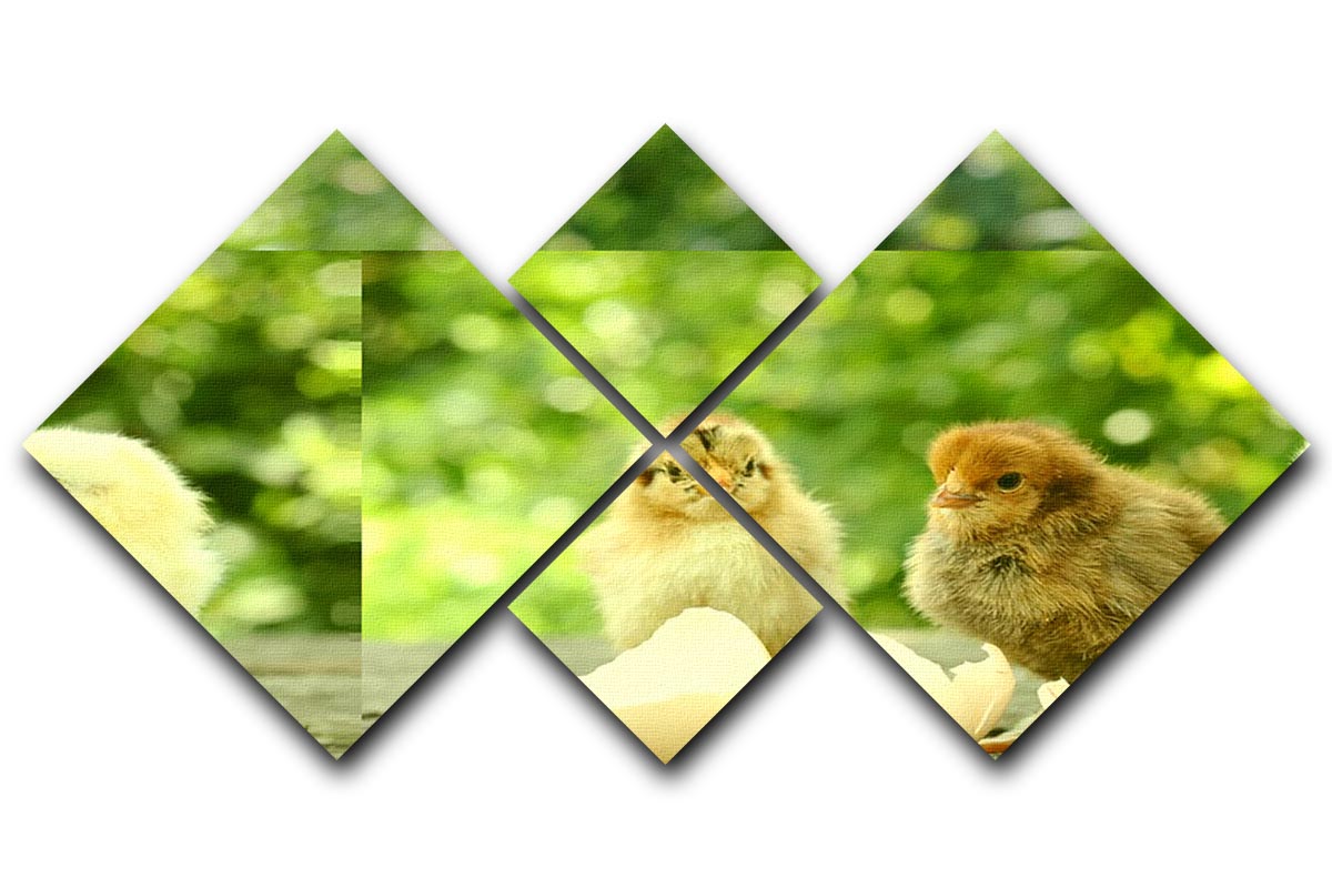 Small chicks and egg shells 4 Square Multi Panel Canvas - Canvas Art Rocks - 1