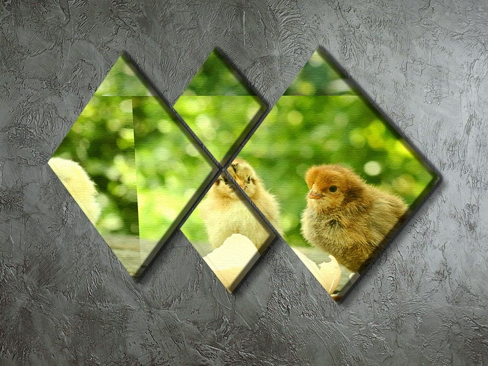 Small chicks and egg shells 4 Square Multi Panel Canvas - Canvas Art Rocks - 2