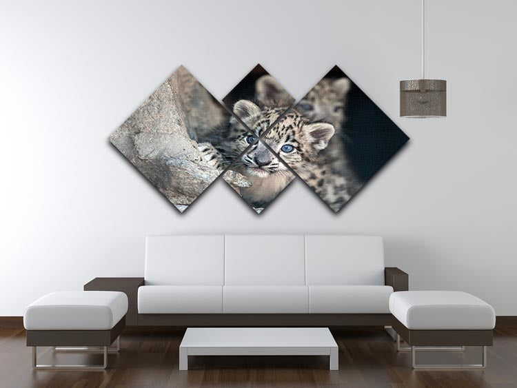 Snow leopard baby portrait 4 Square Multi Panel Canvas - Canvas Art Rocks - 3