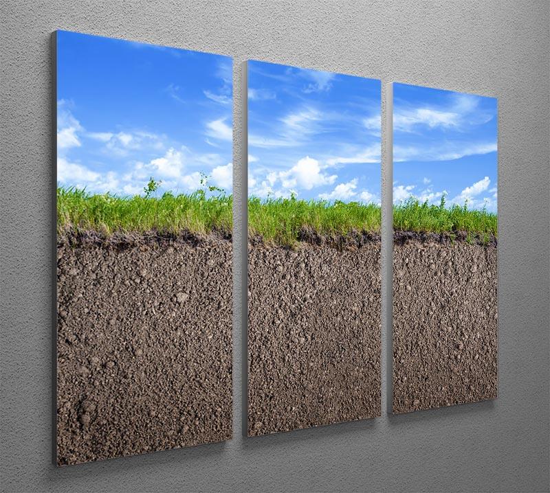 Soil ground 3 Split Panel Canvas Print - Canvas Art Rocks - 2