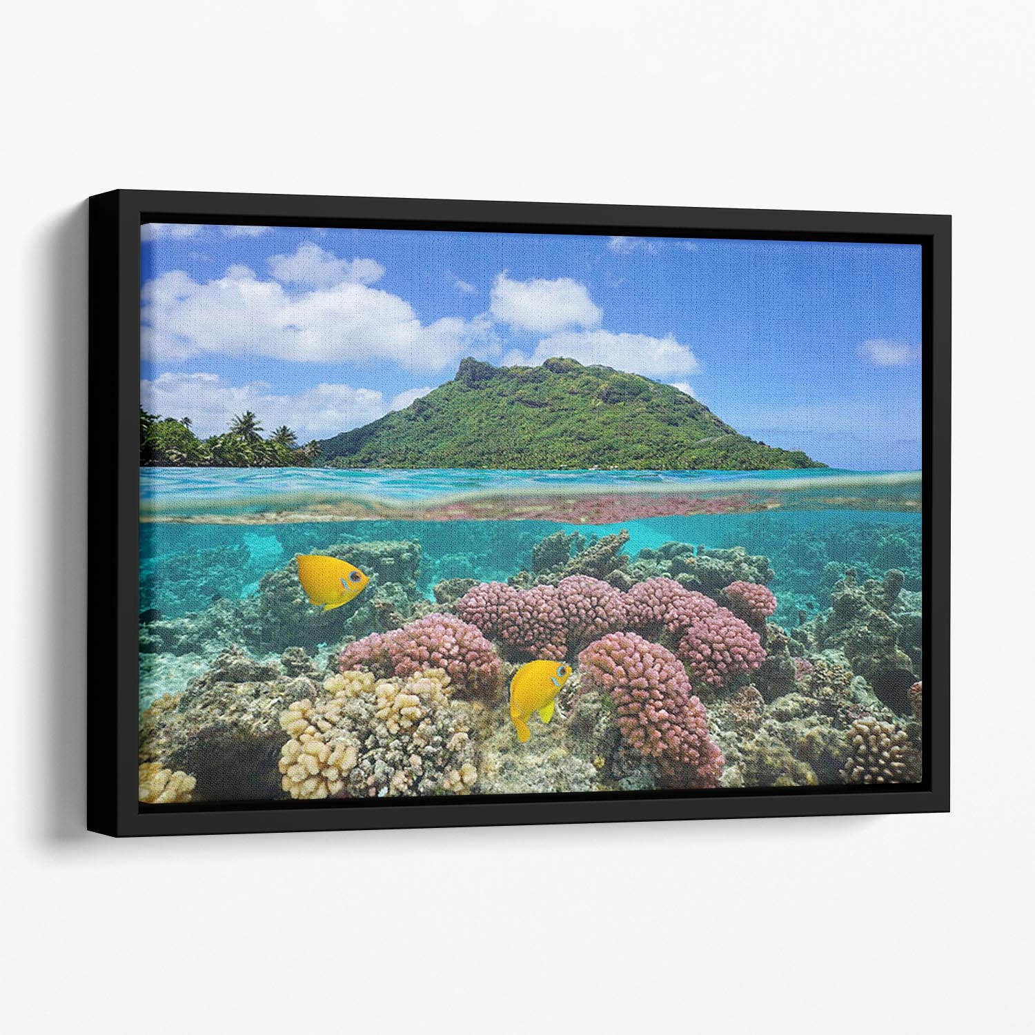 Split image above and below water surface Floating Framed Canvas - Canvas Art Rocks - 1