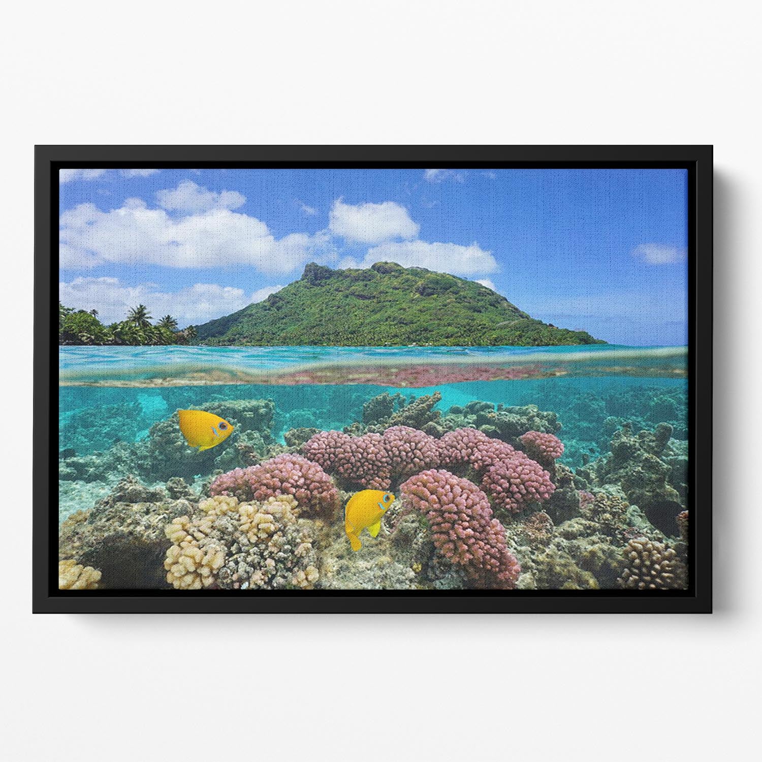 Split image above and below water surface Floating Framed Canvas - Canvas Art Rocks - 2