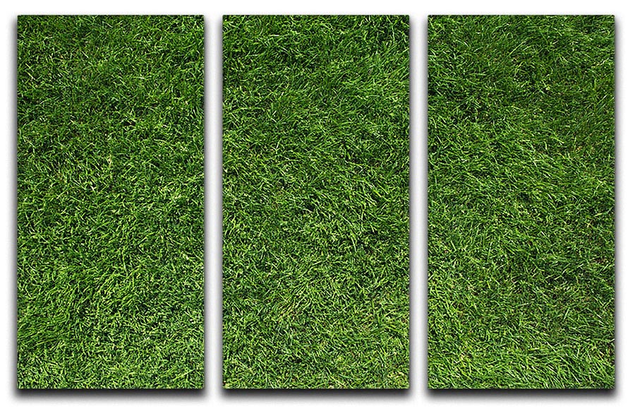 Texture of green grass 3 Split Panel Canvas Print - Canvas Art Rocks - 1