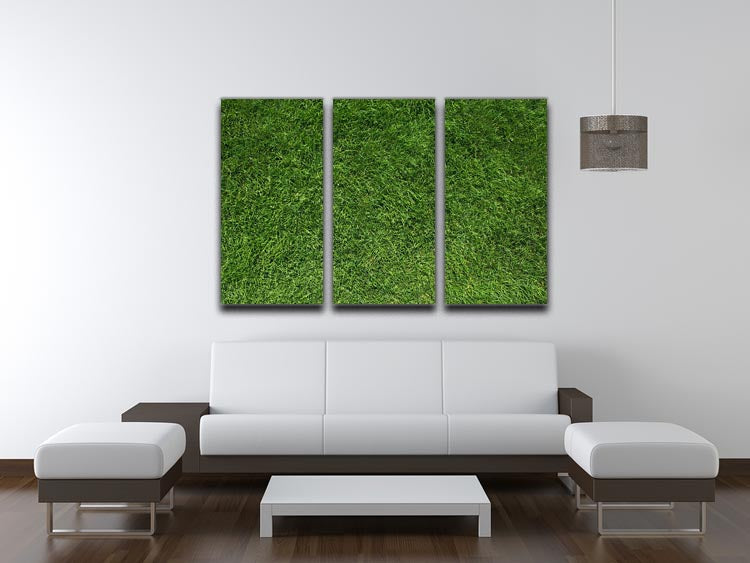 Texture of green grass 3 Split Panel Canvas Print - Canvas Art Rocks - 3