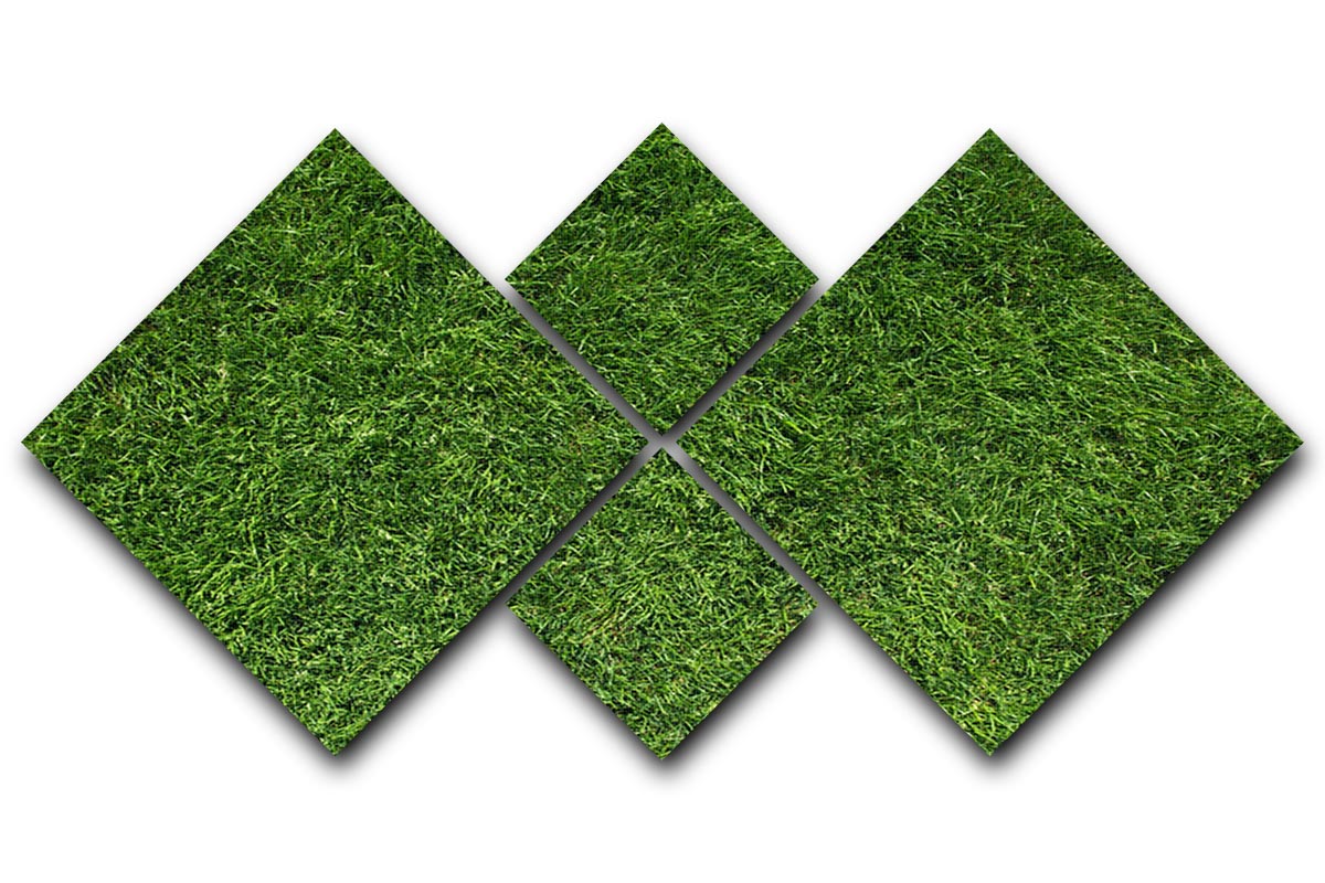 Texture of green grass 4 Square Multi Panel Canvas - Canvas Art Rocks - 1