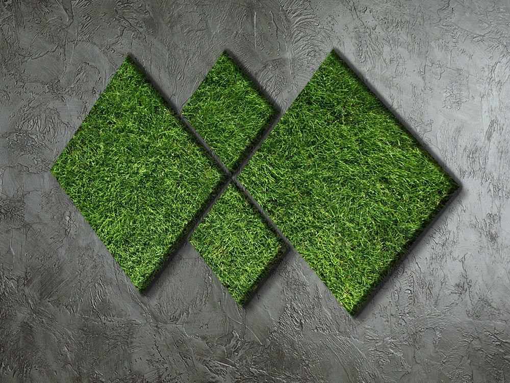 Texture of green grass 4 Square Multi Panel Canvas - Canvas Art Rocks - 2