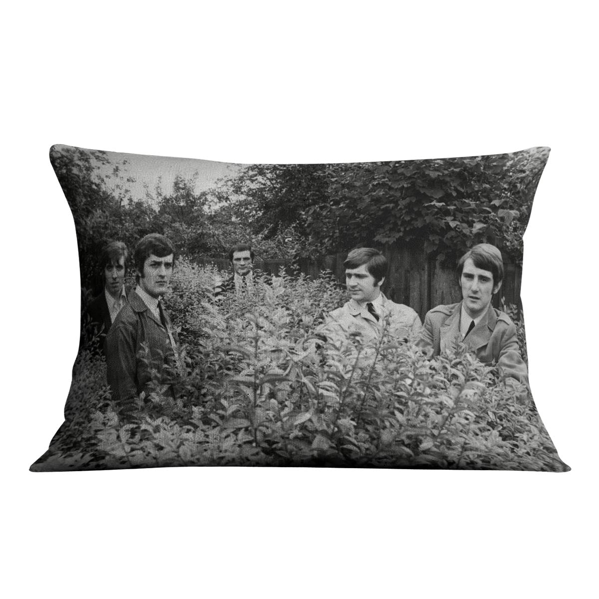 The Moody Blues in a field Cushion