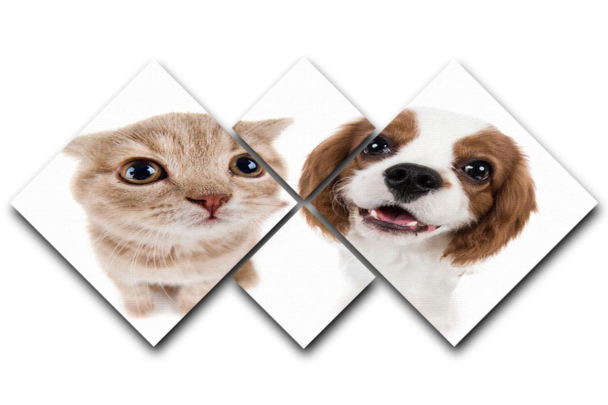 The beautiful brown little kitten with dog 4 Square Multi Panel Canvas - Canvas Art Rocks - 1