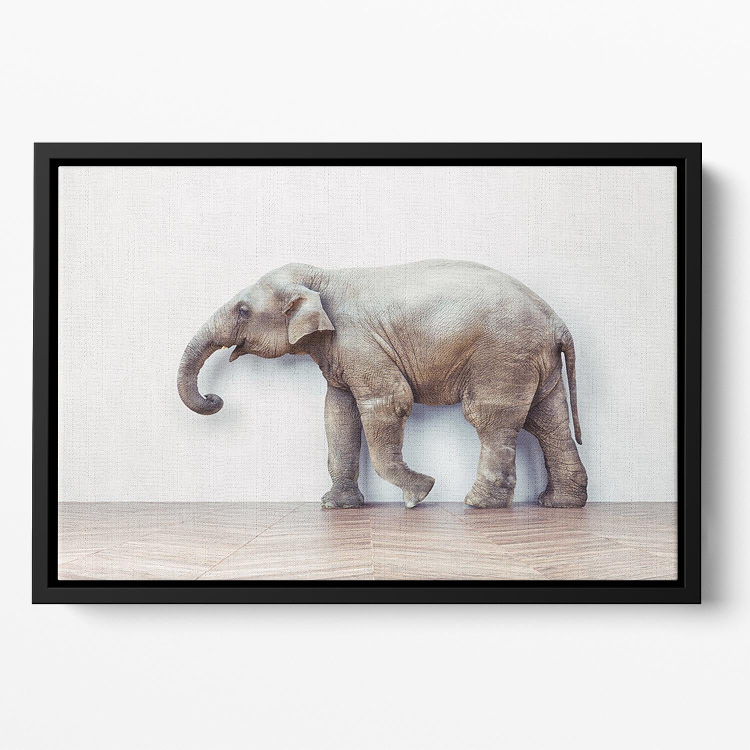 The elephant calm in the room near white wall Floating Framed Canvas - Canvas Art Rocks - 2