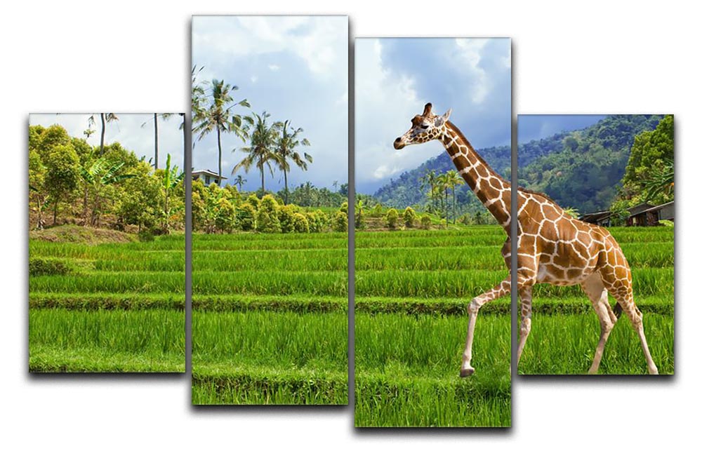 The giraffe goes on a green grass against mountains 4 Split Panel Canvas - Canvas Art Rocks - 1