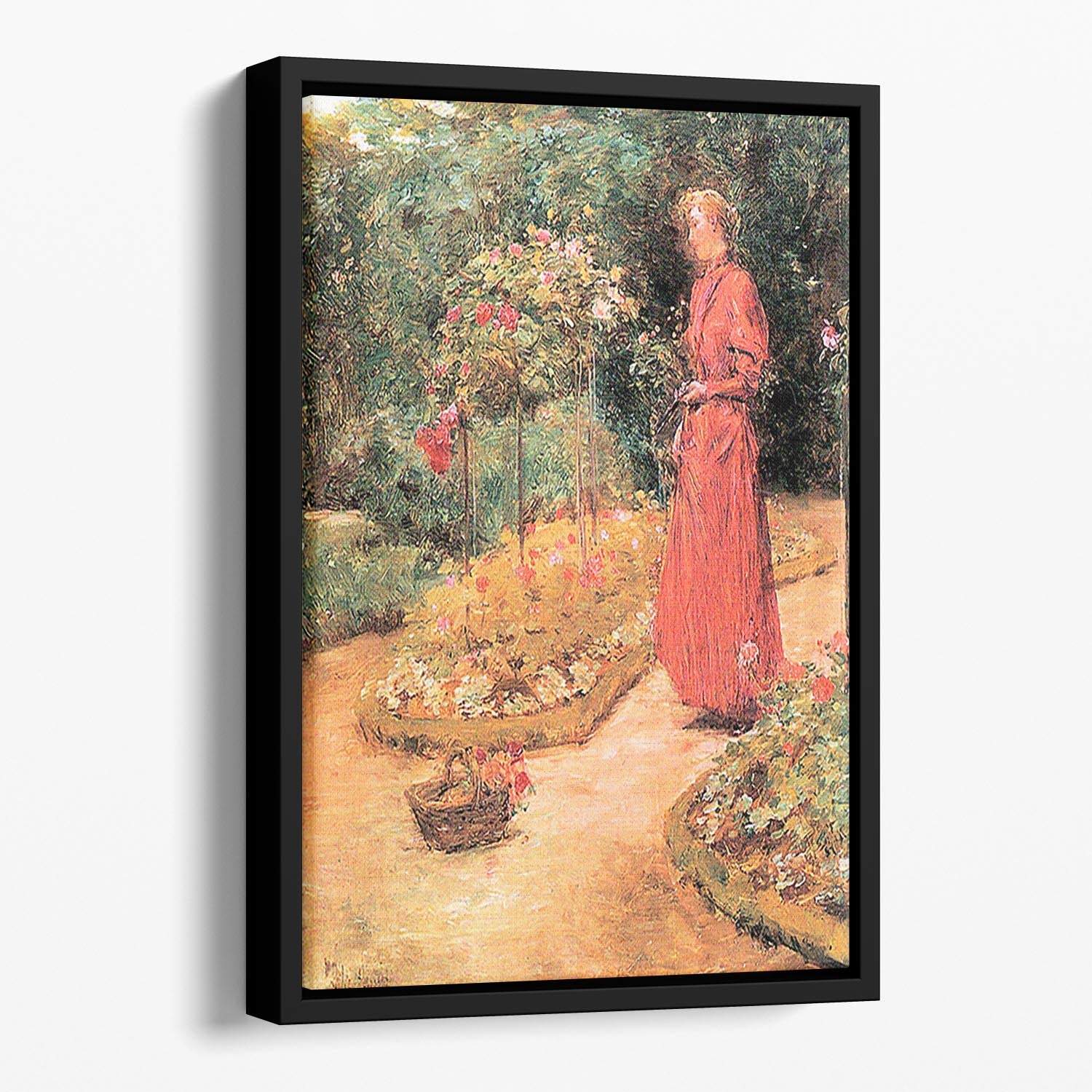 Woman cuts roses in a garden by Hassam Floating Framed Canvas - Canvas Art Rocks - 1