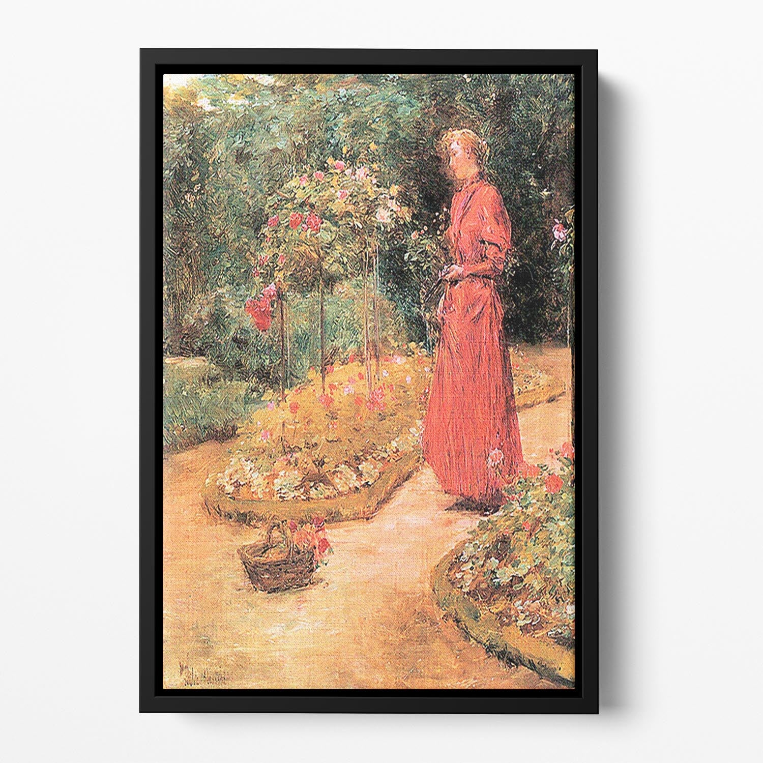 Woman cuts roses in a garden by Hassam Floating Framed Canvas - Canvas Art Rocks - 2